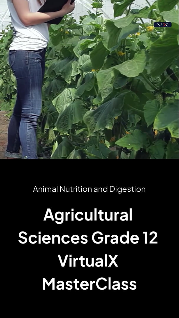 Opening frame from Animal nutrition requirements digestion and the alim, Grade 12 Agricultural Sciences